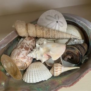 “ Salty Toes & Sandy Kisses” LISTING’s from the Sea! ✨Informational Post✨